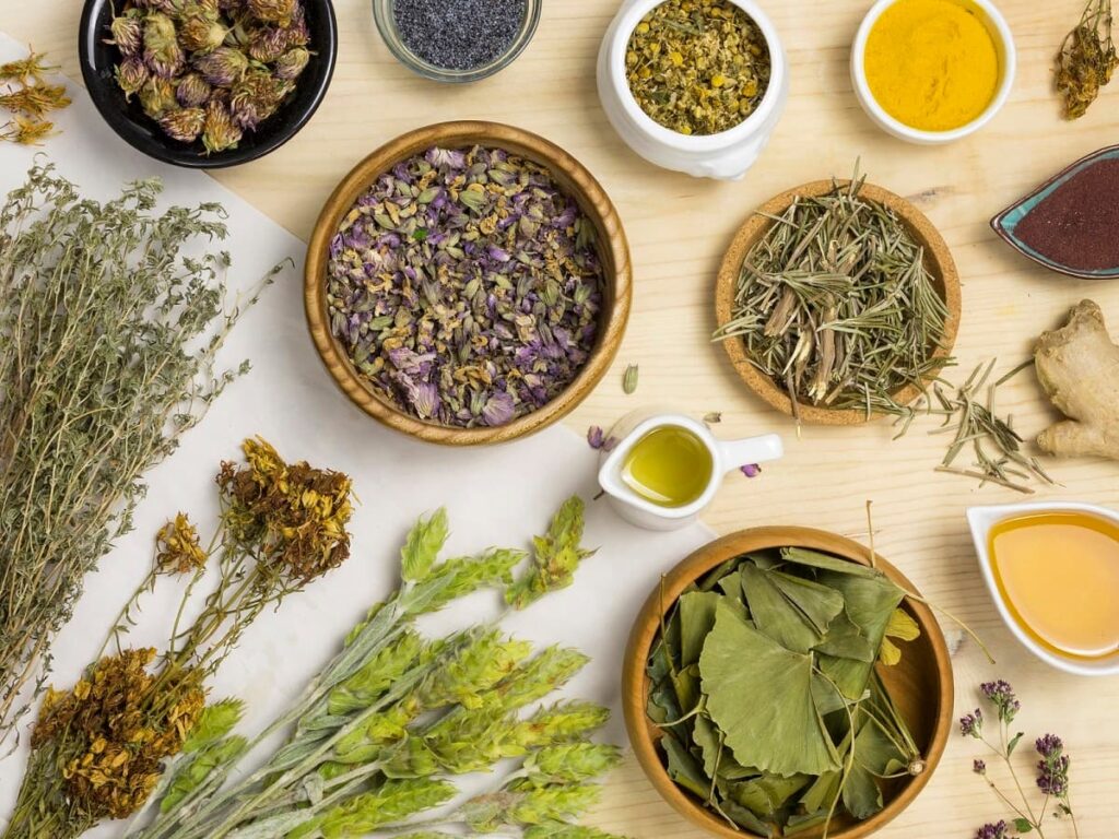 Plantas medicinales chinas utilizadas en fitoterapia