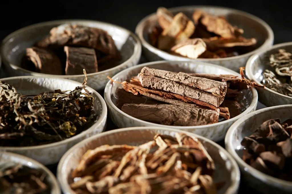 Plantas medicinales secas utilizadas en fitoterapia china, dispuestas en cuencos.